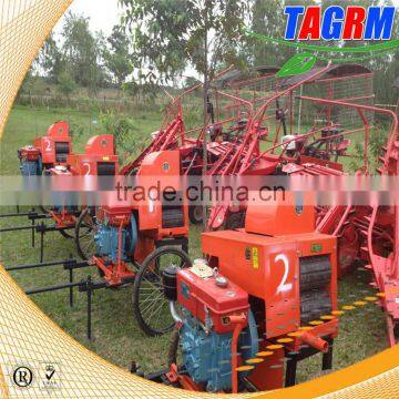 Farm small machinery leaf cutter mini sugarcane leaf remove 6BZ-5 new sugarcane leaf removing machine