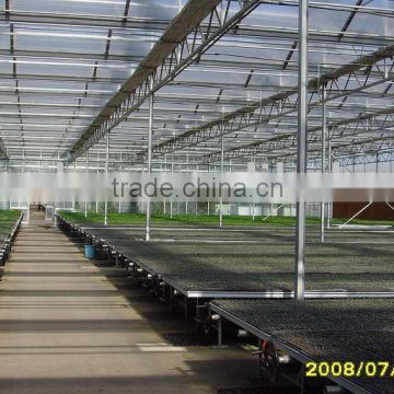 Polycarbonate Sheet Multi-span Greenhouse