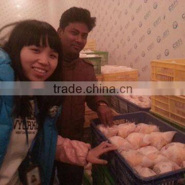 Commercial Gas Refrigerators Meat Storage Freezer Room photo-4