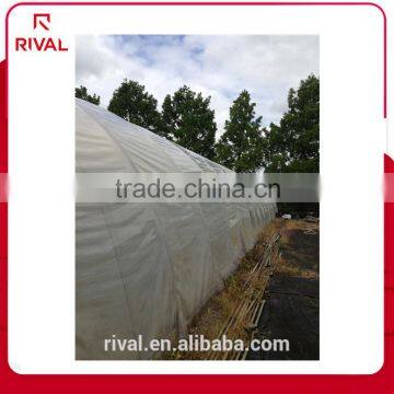 Strong green house plastic clear covering film manufacturer