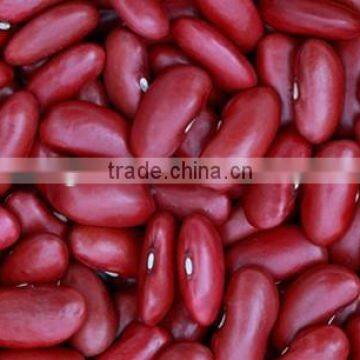 NEW CROP Dark red kidney beans