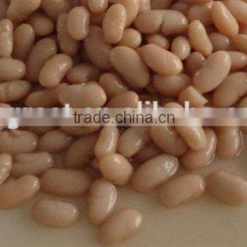 Canned white kidney beans with good quality for sale