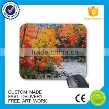 2016 Whoesale Low Price Printed Silicone Rubber Game Mouse Pad photo-3