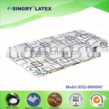 Papery Latex Travel mattress Topper