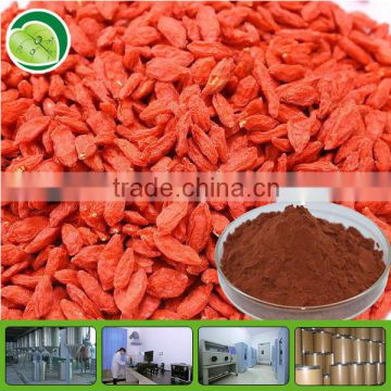 GMP factory organic lycium barbarum powder