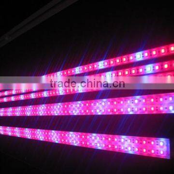Led Strip Light 5050 60d Rgb 12v photo-2