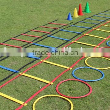 Adjustable Speed Double Agility Ladder