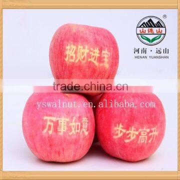 2015 Hot Fuji Apples
