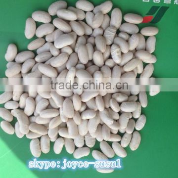 White Kidney Beans, crop 2015 crop