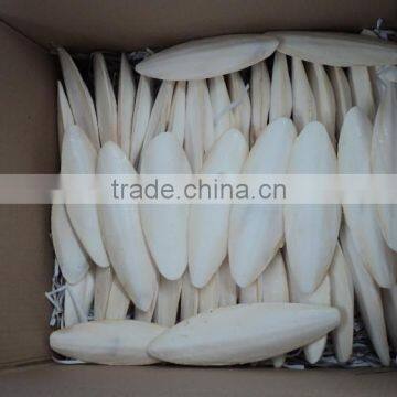 Cuttlefish Bone from Viet nam with Best Price