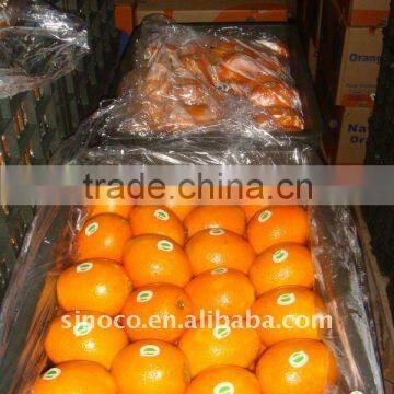 Chinese Navel Orange With Good Quality