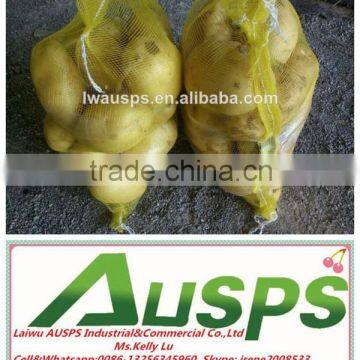 New Crop Fresh Potato Factory