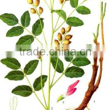 High Germinaiton Rate Licorice Root Seed Glycyrrhiza Uralensis Seeds For Cultivation photo-4
