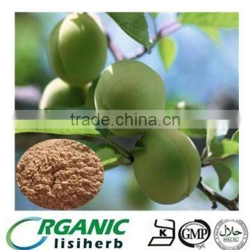 LISI supply high quality dried dark plum juice powder with competitive price