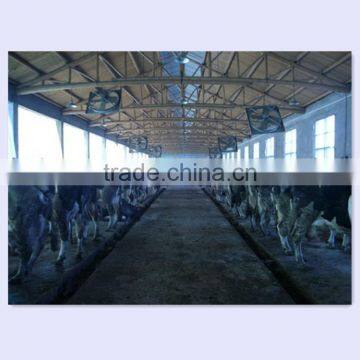 Cow Barn Automatic Milking Machine System photo-2
