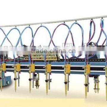 Multi-heads Cnc Milling Router Machine