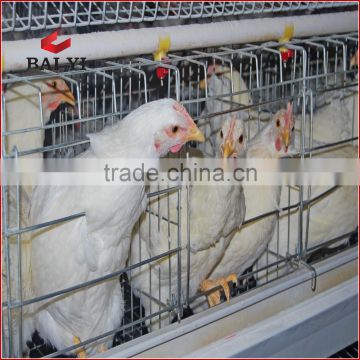 Multi-tier and Ladder Frame Steel Layer Chicken Coop For Sale