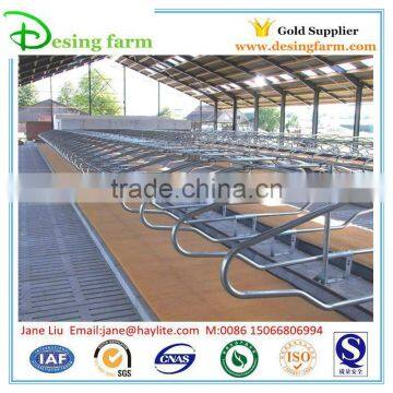 trade assurance quality cow free stall for dairy farm