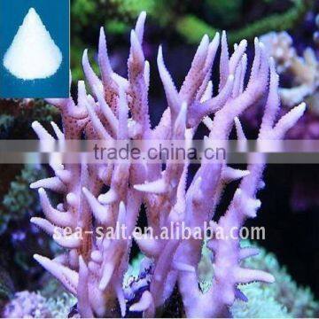 Marine Salt Aquarium Light Saltwater Fish Tank Artificial Coral Reef Aquarium Decoration