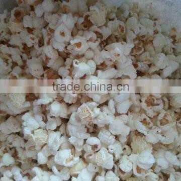 Jinan Eagle Pop Cereals Grains Soghum /corn/maize/rice Machine photo-4