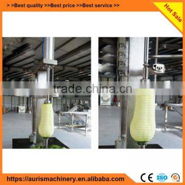 99% Peeling Rate Papaya/watermelon/pawpaw/pumkins Peel Peeler Peeling Machine on Sale photo-5