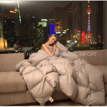 China Factory Sale Polyester Comforter Sets photo-5