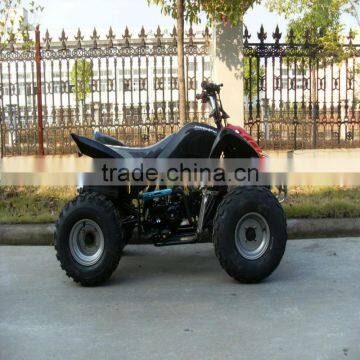 JLA 11-08 110cc JINLING New Star Quak Bike for Sales photo-2