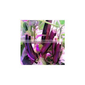 MarsHydro Waterproof ETL Certificated Led 60 Cm/120 cm Grow Bar photo-4