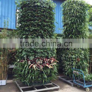 Plastic Vertical Garden Wall Planter,DIY Any Shape photo-2