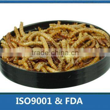 poultry feed additive high protein mealworm