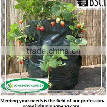 45L Durable Let's Growing Strawberry Planter