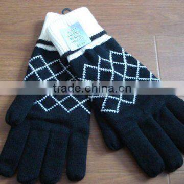 Lady Fashion Winter Thermal Windproof Gloves ZMR620