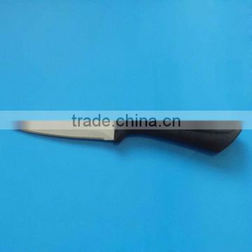 Stainless Steel Paring Knife