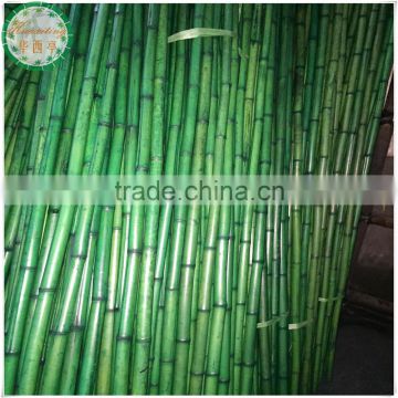 dyed colors bamboo poles stake sticks