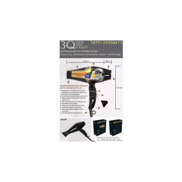 Ionic Brushless Hair Dryer