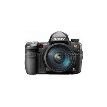 Buy Sony Alpha DSLRA850 24.6MP Digital SLR Camera (Body Only)) best price