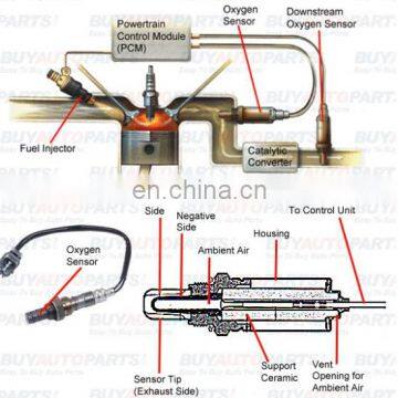 234-9007 A/F Air Fuel Ratio Sensor Camry RAV4 Sienna Solara Lexus 89467-41020 photo-3