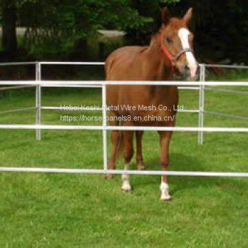 Portable Horse Panels