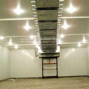 Apricot Fruit Principle and Advantages of Controlled Atmosphere Storage photo-2