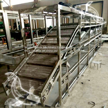 Manufacturer of stainless steel mesh chain conveyor belt of drying line