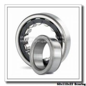 60x110x22 Bearing