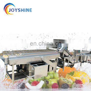 Factory Supply CE Approved Potato Washing Grading Machine Carrot Washing Machine photo-5