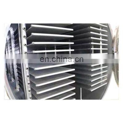 Vacuum Freeze Dryer Drying Vegetable Fruit Lyophilizer Equipment Large