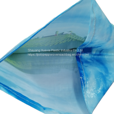 PP plastic woven bag manufacturer wholesale waterproof and antiskid PP packaging bag