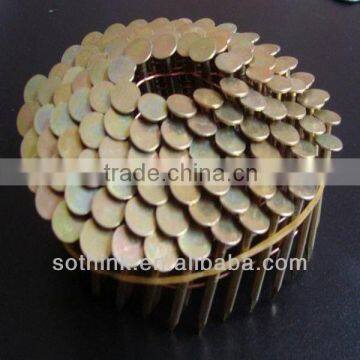 color galvanized coil roofing nail with carton packing