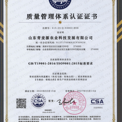 Quality Management System Certification