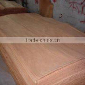 0.3mm keuring veneer