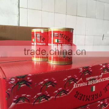 Good quality canned tomato paste for Middle East market