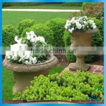 Classicial antique garden pots