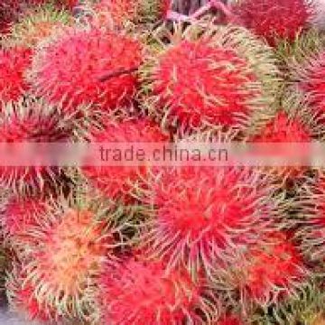 Organic fresh Rambutan fruit